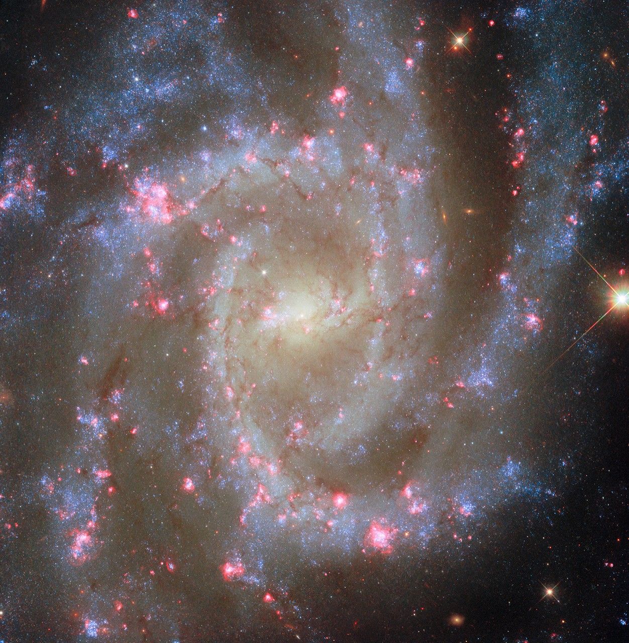 Hubble Observes Noteworthy Nearby Spiral Galaxy