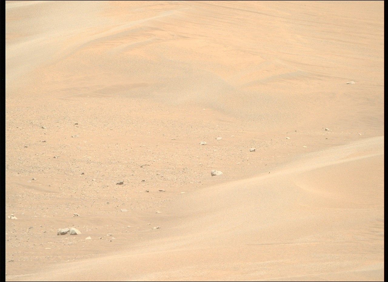 To See the World in a Grain of Sand: Investigating Megaripples at ‘Kerrlaguna’