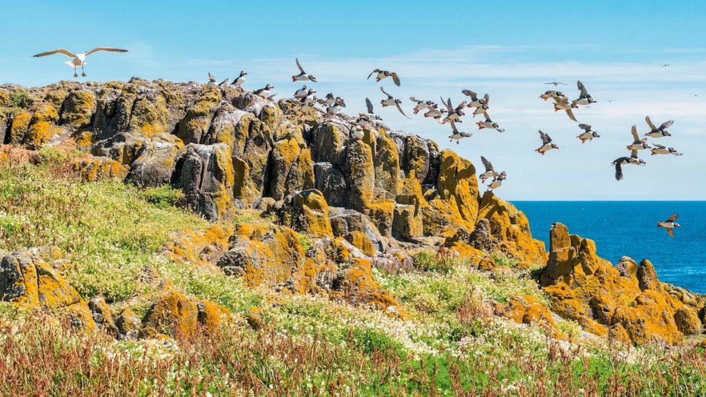Why coastal Fife is one of Scotland’s best walking adventures