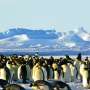 From sea ice to ocean currents, Antarctica is now undergoing abrupt changes—and we’ll all feel them