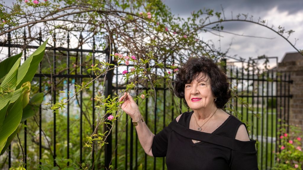The rose that survived Hurricane Katrina—and now blooms across the country