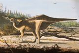 This Dinosaur Showed Off a Spiny Sail to Attract Mates Around 125 Million Years Ago