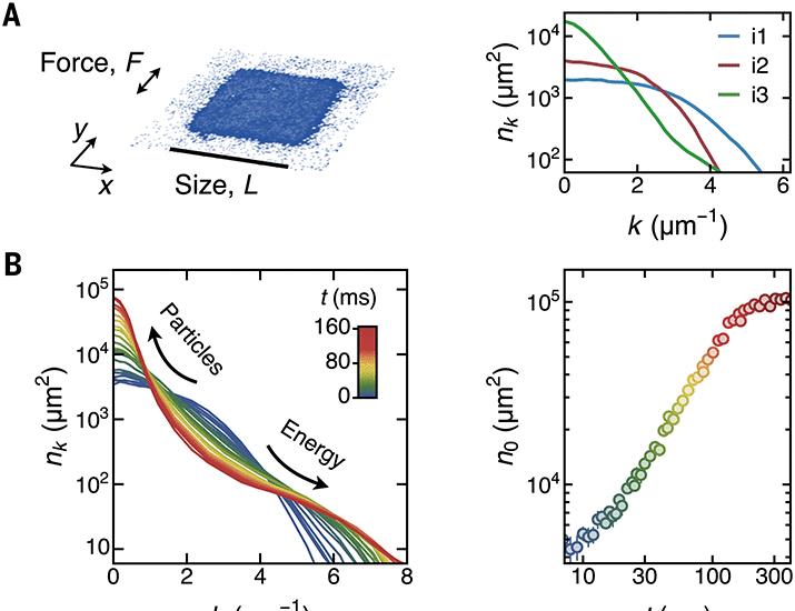 Universal coarsening in a homogeneous two-dimensional Bose gas | Science