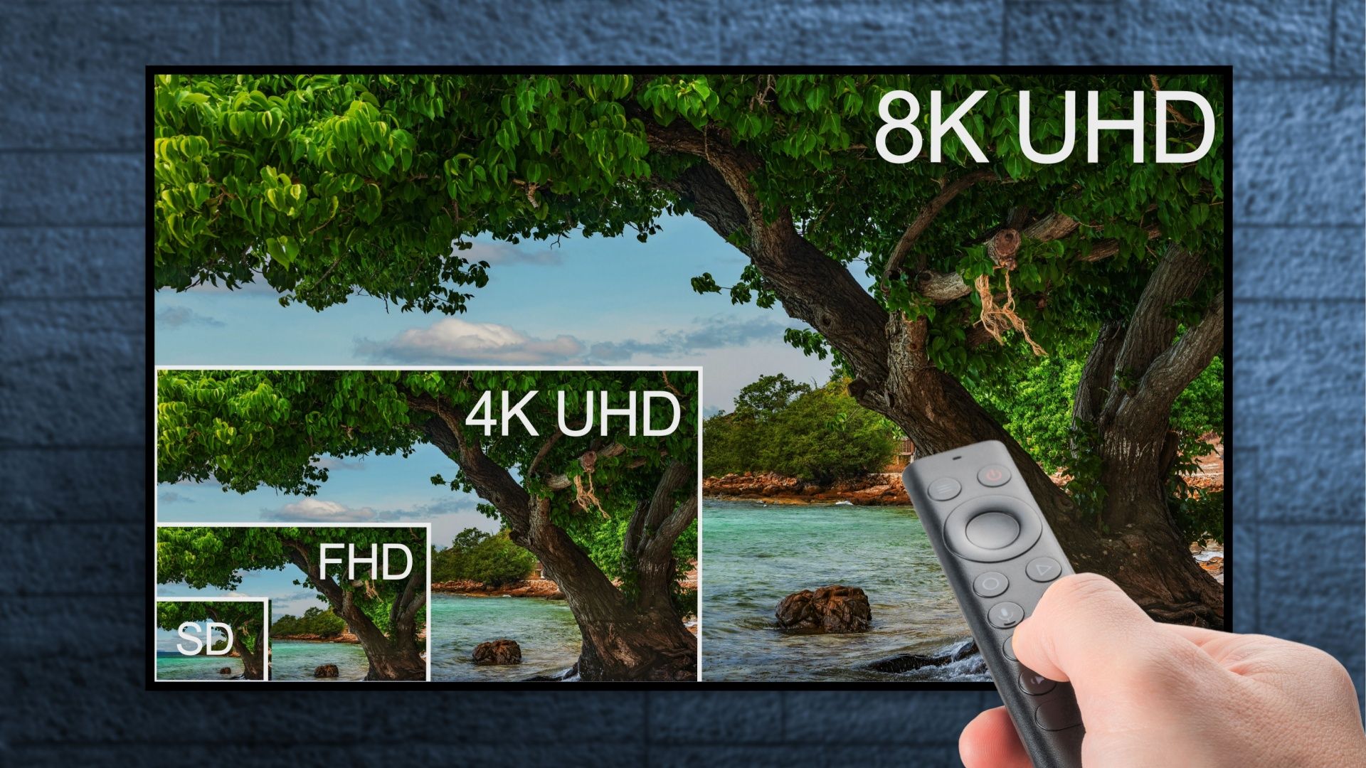Big Surprise—Nobody Wants 8K TVs