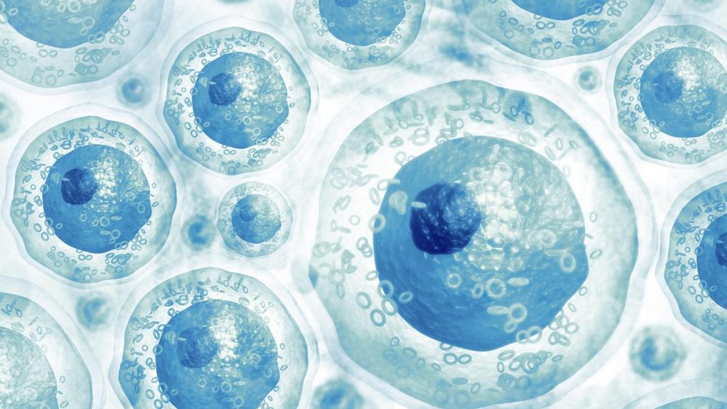CCMB Breakthrough in Cell Revival Sparks Hope for Regenerative Medicine