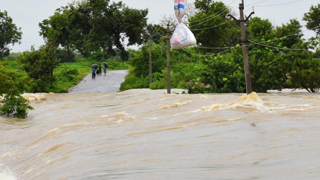 Telangana | Five cattle grazers stranded along swollen Manair river in Rajanna Sircilla, rescue efforts underway