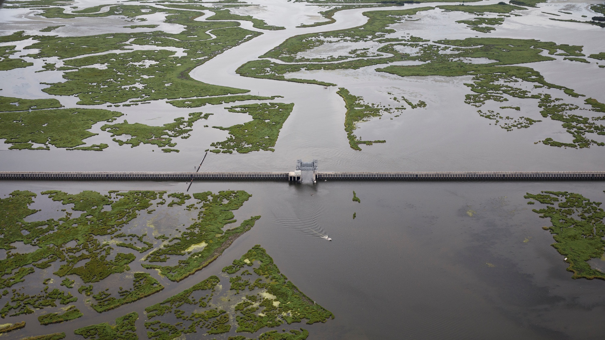 20 years after Katrina, New Orleans’ levees are sinking and short on money