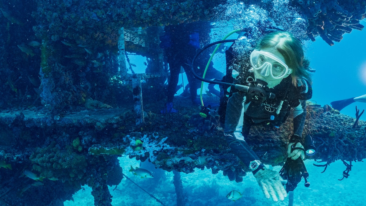 How Sylvia Earle fell in love with the ocean—and why she never stopped exploring
