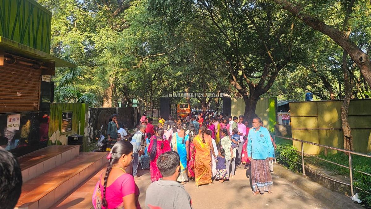 amirthi-zoo-in-vellore-to-get-a-jackal,-leopard-and-additional-enclosures