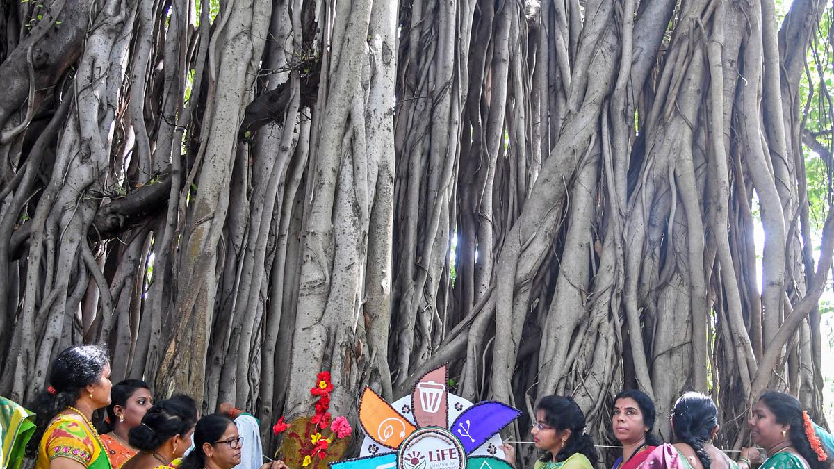 vrikshabandhan:-an-annual-ritual-in-visakhapatnam-to-tie-rakhis-around-trees