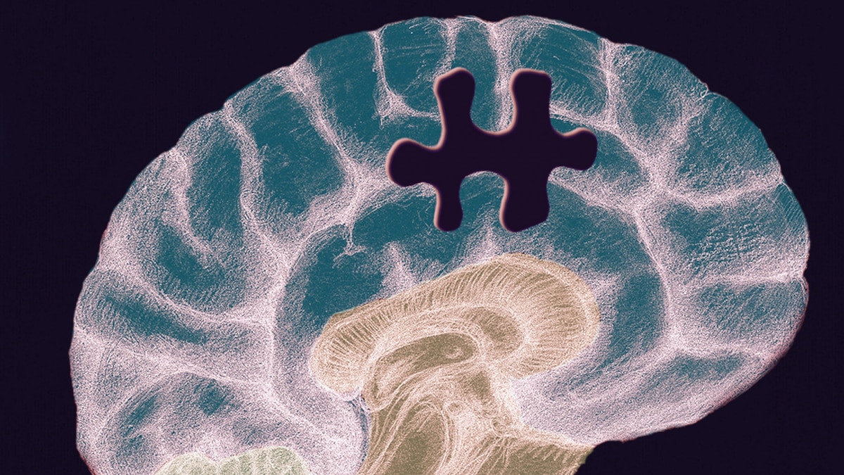 6 science-backed strategies to improve your memory