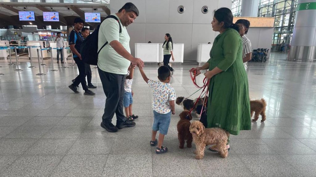 Therapy Dogs Introduced at Hyderabad Airport to Calm Passengers