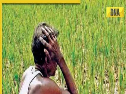 PM KISAN 20th installment: PM Modi to release funds today, check eligibility and other details