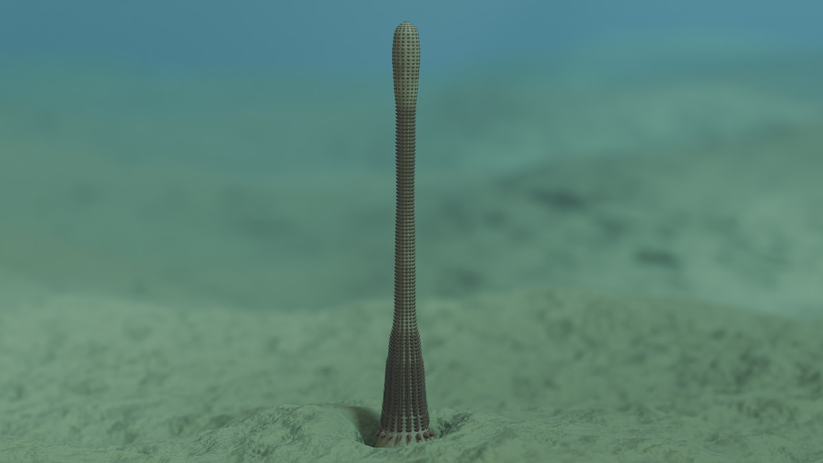 This bizarre ancient worm had spiky teeth and a retractable throat