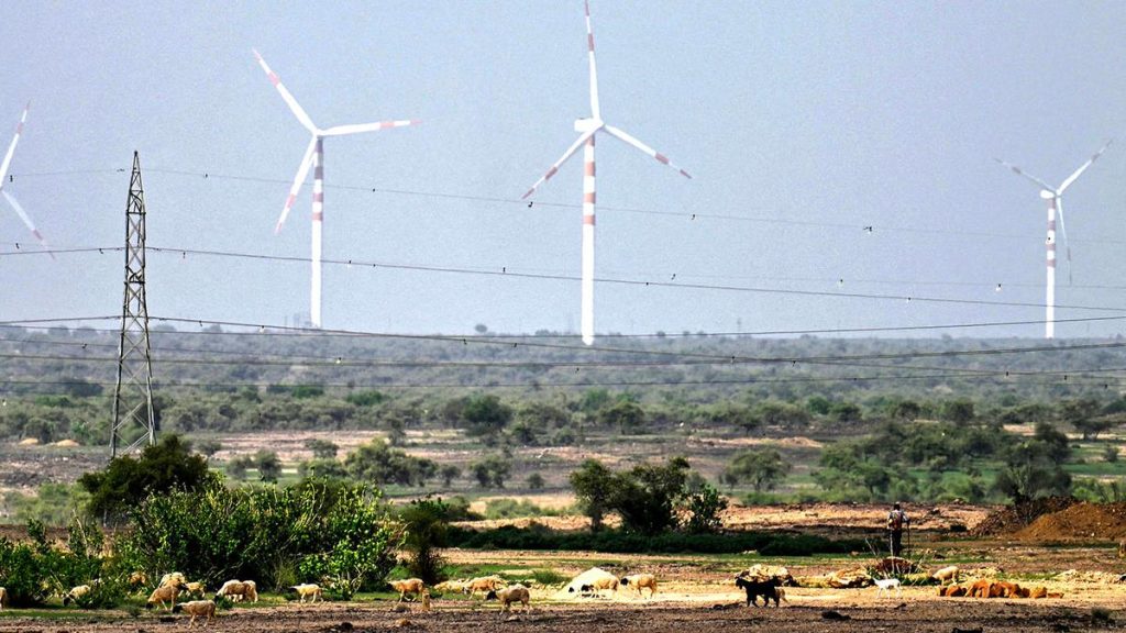 World’s highest bird death rates at Thar Desert wind farms