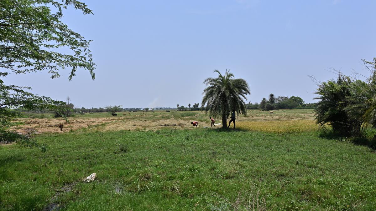 parandur-airport-project-likely-to-be-delayed-by-a-year,-land-acquisition-poses-a-challenge
