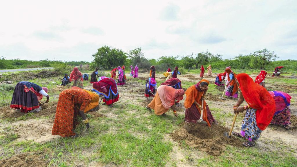 Centre and Bengal Govt Delay MGNREGA Resumption Despite Calcutta HC Order