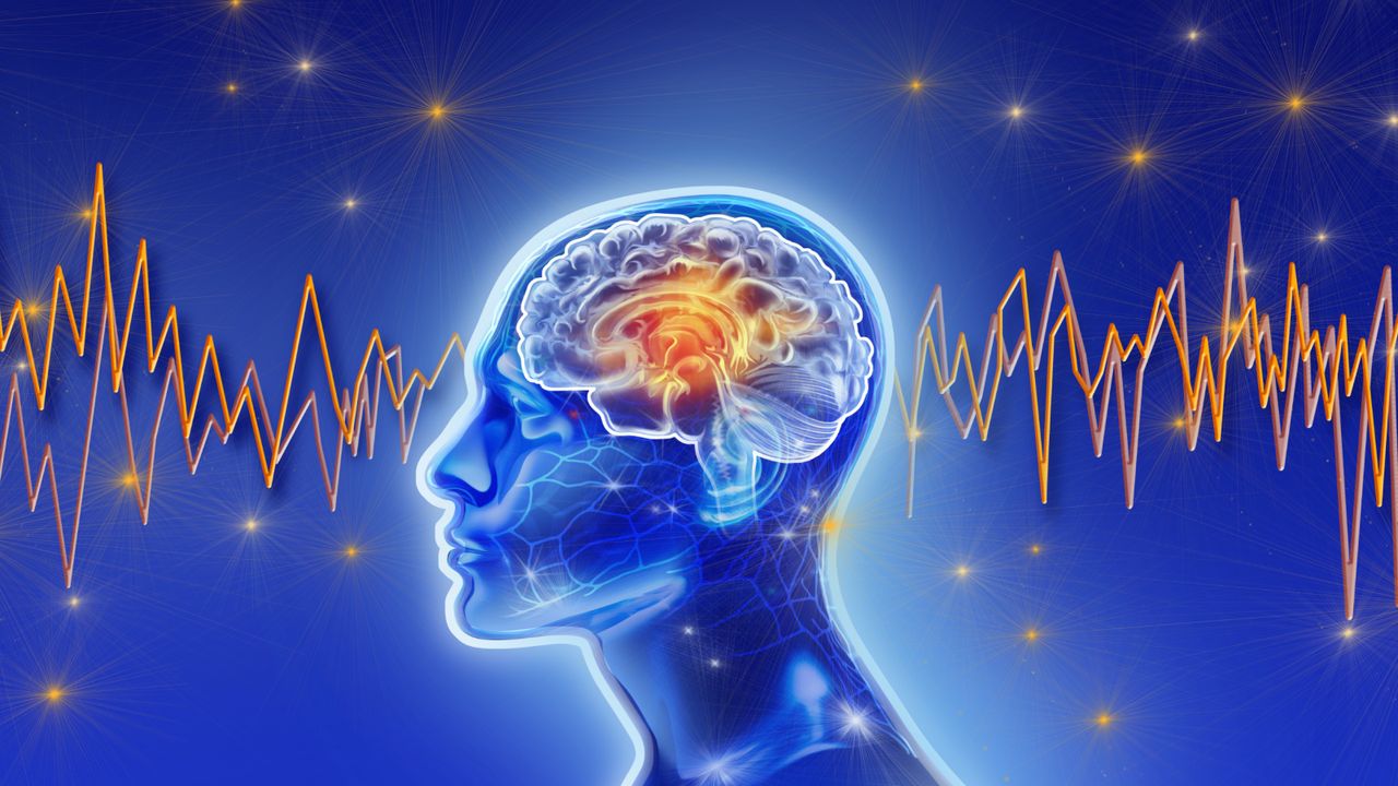 When your mind goes ‘blank,’ your brain activity resembles deep sleep, scans reveal