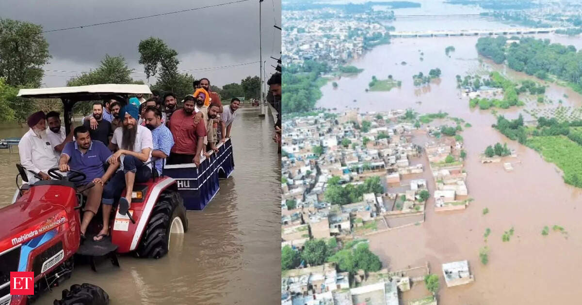 Flood-ravaged Punjab receives 74% excess rain in August, highest in 25 years