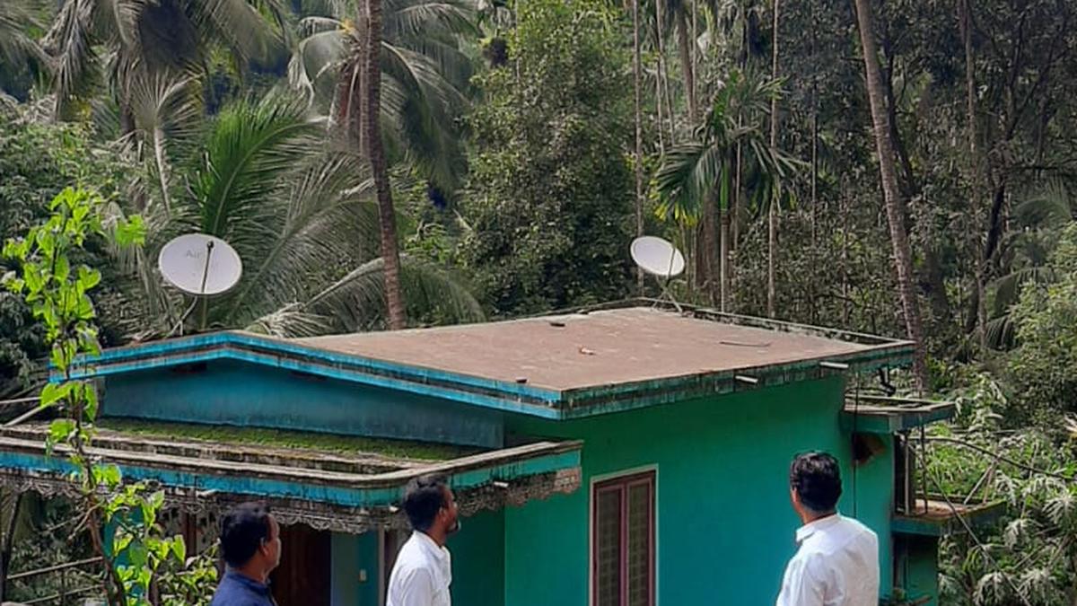 farmers-seek-intervention-to-protect-coconut-trees-from-lethal-yellowing-disease