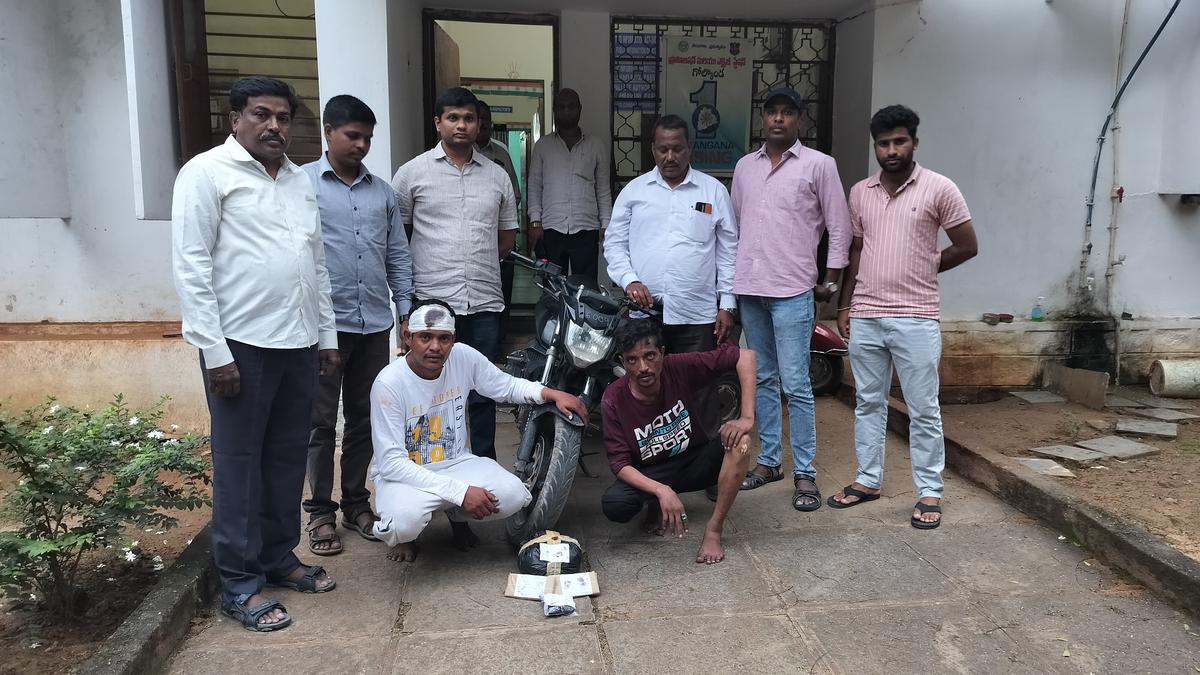 four-arrested,-over-1.7-kg-ganja,-plant-seized-in-separate-raids-in-hyderabad