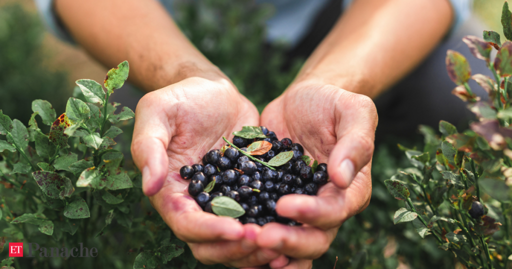 Dietitian says blueberries are nature’s most powerful anti-inflammatory fruit, but there’s a catch in how you pick them