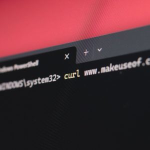 Command Prompt is actually the best download manager for Windows