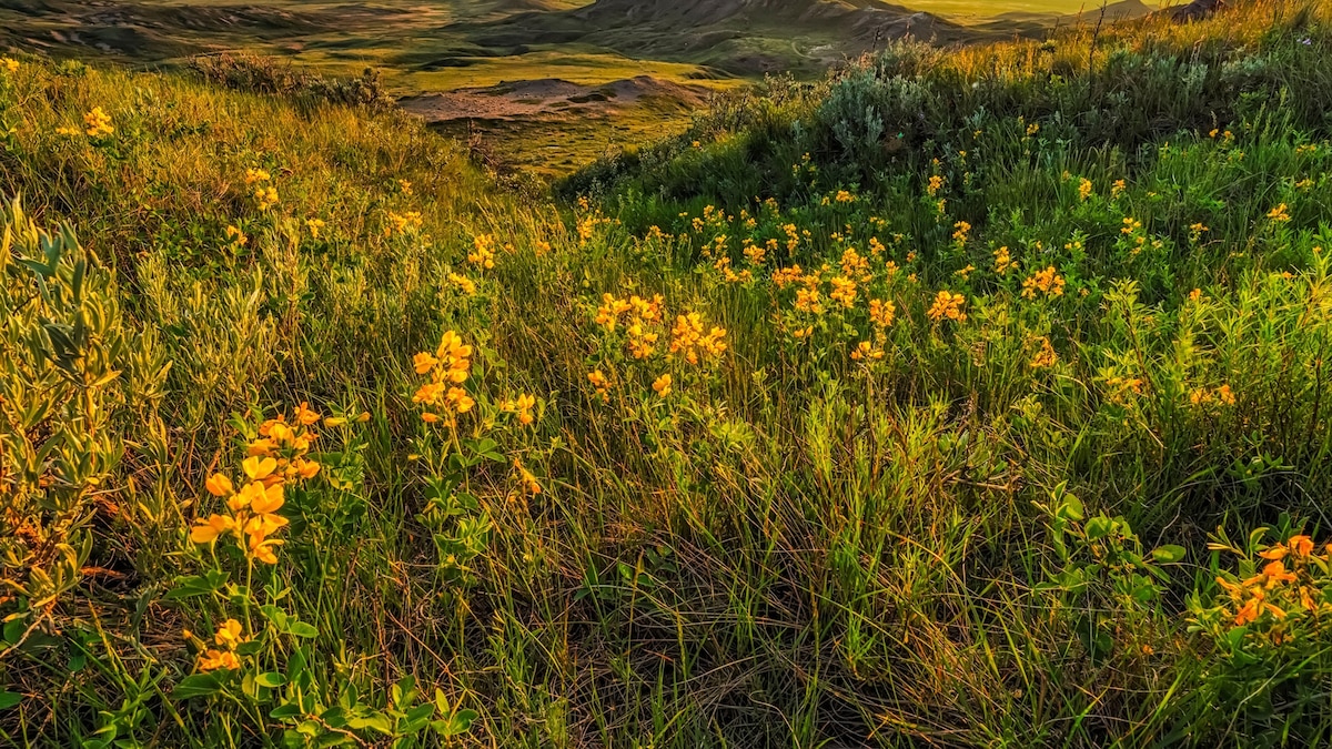10 stunning national parks to visit in Canada