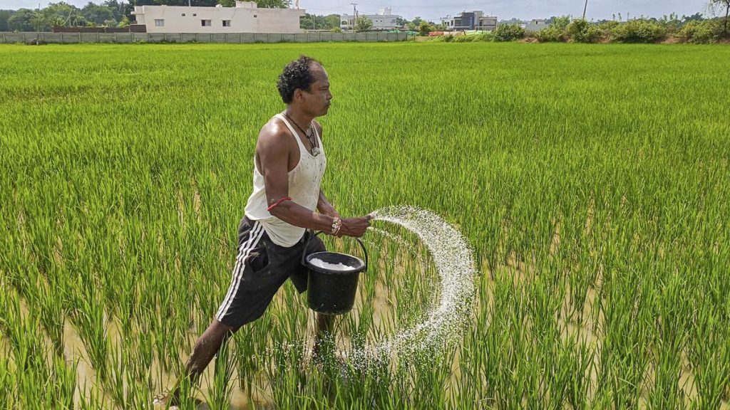 53,000 MT of Urea Arrives at Andhra Pradesh Ports