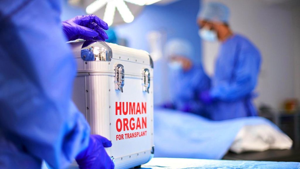 Madras High Court Questions Proof of Friendship in Kidney Transplant Case