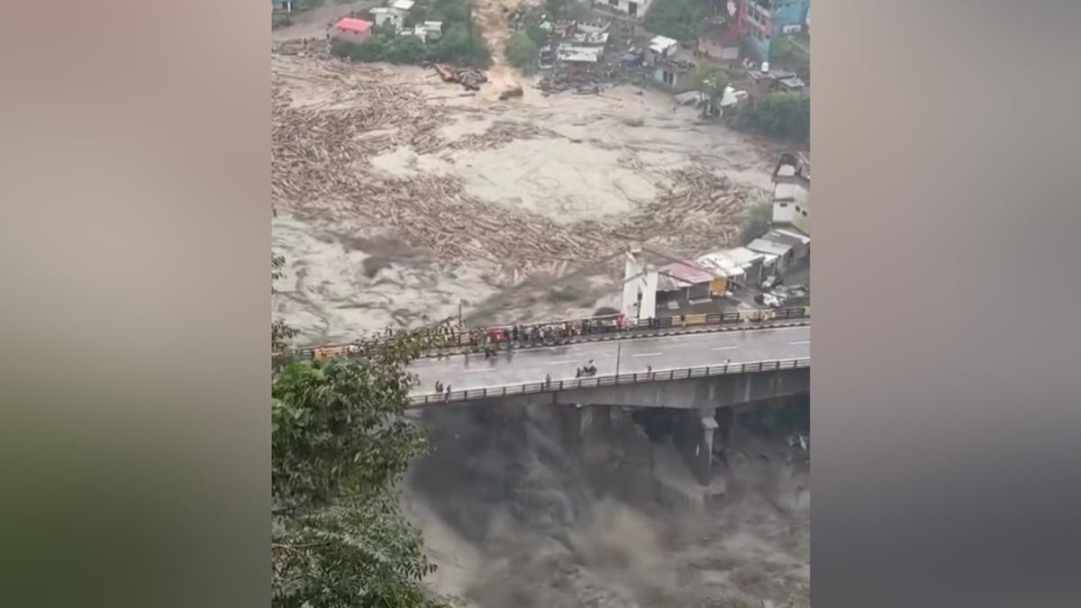 ‘we-will-be-left-with-no-forests’,-sc-on-floods,-illegally-felled-himalayan-trees-flowing-in-swollen-rivers