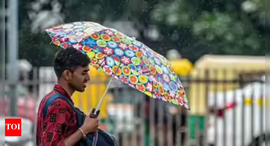 Bengaluru weather update: Comfortable temperatures and light rain expected today