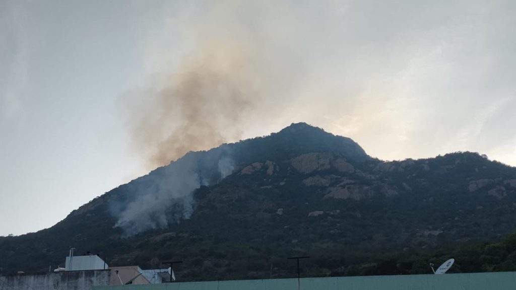 Forest Department Investigates Arunachala Hills Reserve Fire
