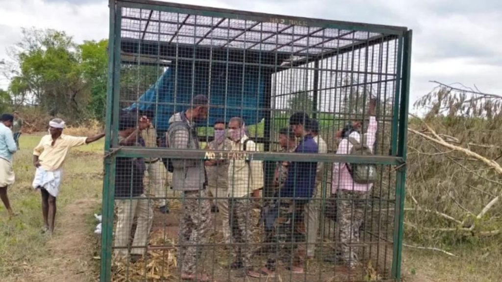 Irate Karnataka villagers lock up forest staff inside tiger trap cage in Bandipur