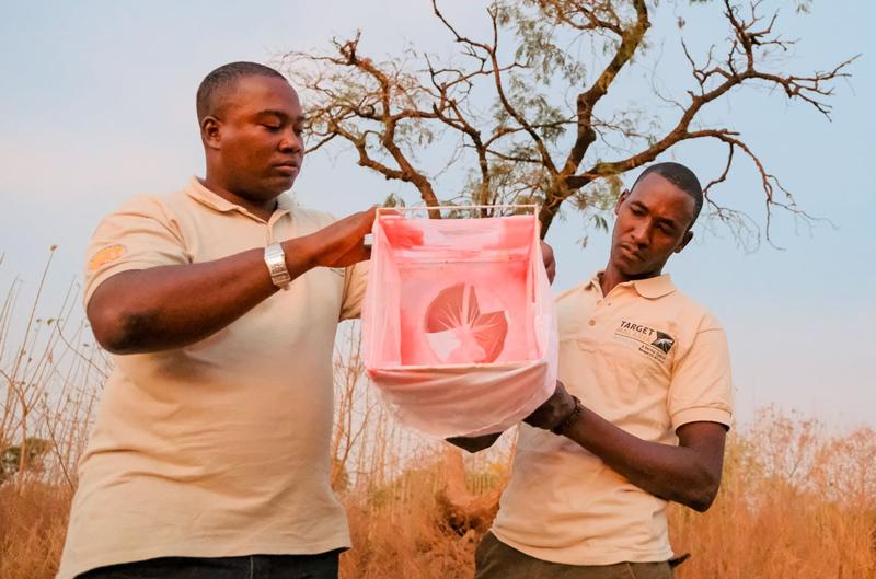 After ‘humiliating’ raid, Burkina Faso halts ‘gene drive’ project to fight malaria