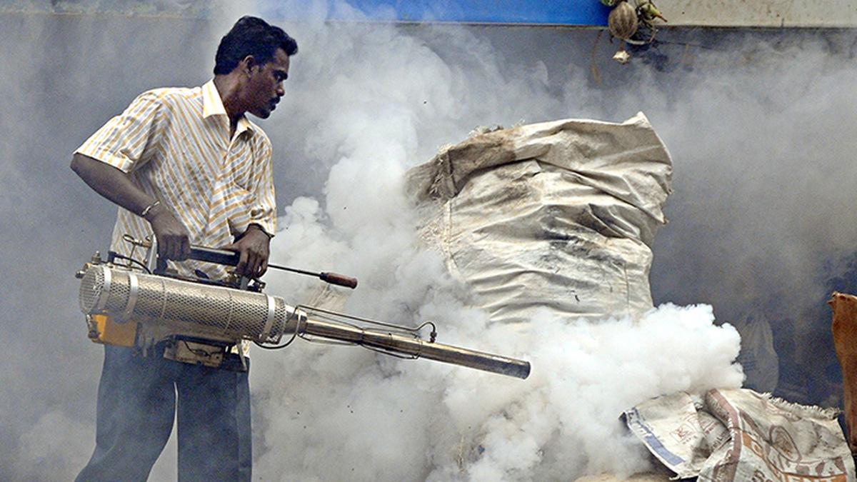 stay-vigilant-to-dengue,-malaria-cases,-centre-tells-states