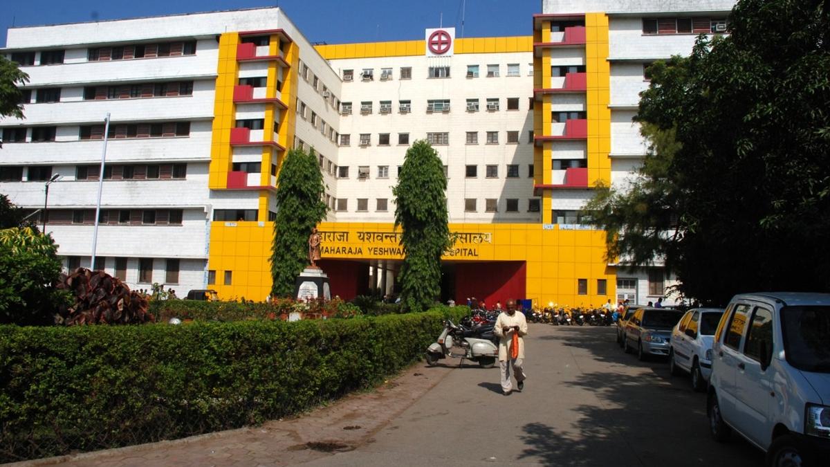 madhya-pradesh-high-court-notice-to-government-authorities-over-death-of-infants-after-rat-bites-at-indore-hospital
