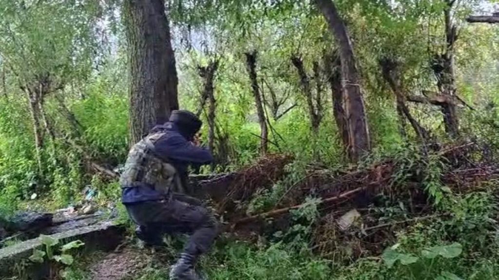 From Safe Houses to Underground Havens: Evolving Tactics of Terror Groups