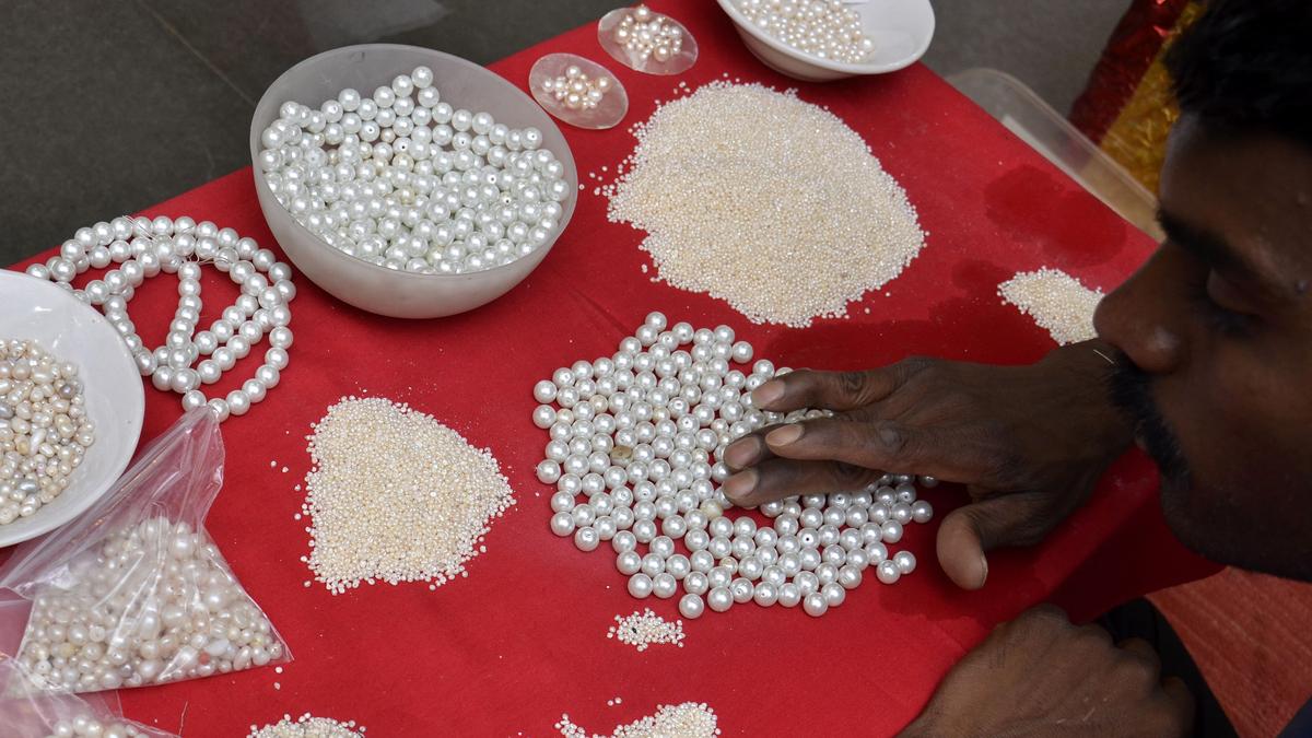 efforts-on-to-get-gi-tag-recognition-for-hyderabad-pearls
