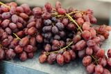 Bronze and Iron Age People Focused on Olive and Grape Crops, Making Wine and Olive Oil a Priority