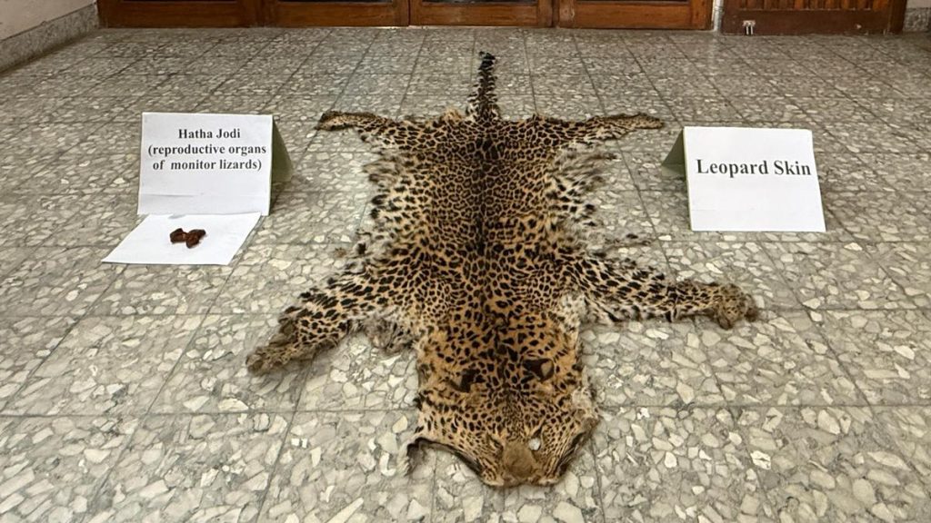 DRI Patna Nabs Two for Wildlife Trafficking