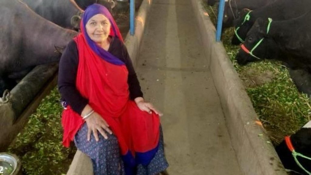Gujarat woman earns ₹1.94 crore from milk sales, aims for ₹3 crore