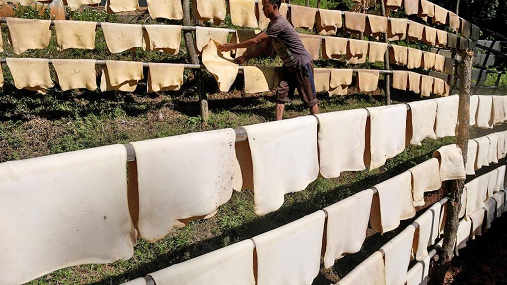 Fire Destroys Rubber Stock Worth ₹10 Lakh at Kerala's Aralam Farm