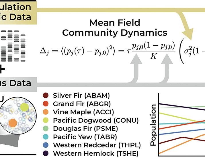 Genomic demography predicts community dynamics in a temperate montane forest | Science